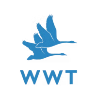 Untitled design (3).png